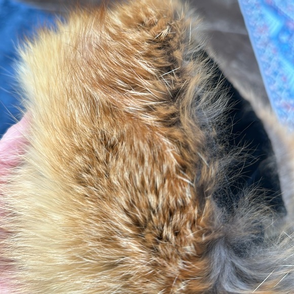 Accessories - Vintage real red fox fur head band. Velcro closure.